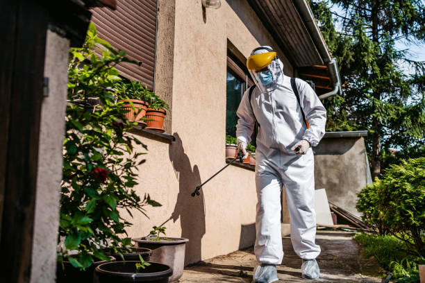 Best Residential Pest Control  in Peotone, IL