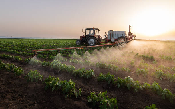 Reliable Peotone, IL Pest Control Solutions