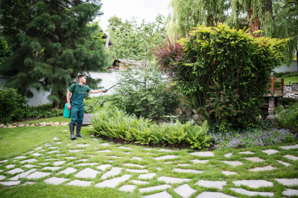 Best Cockroach Control Services  in Peotone, IL