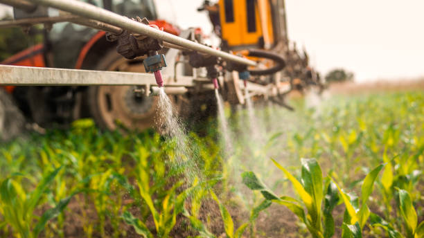 Best Pest Inspection Near Me  in Peotone, IL